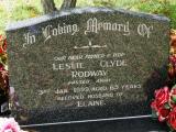 image of grave number 918529